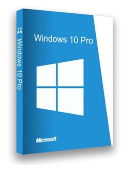 Windows 10 Lite 22H2 Pro Build 19045.3269 [x64][1fileword] torrent